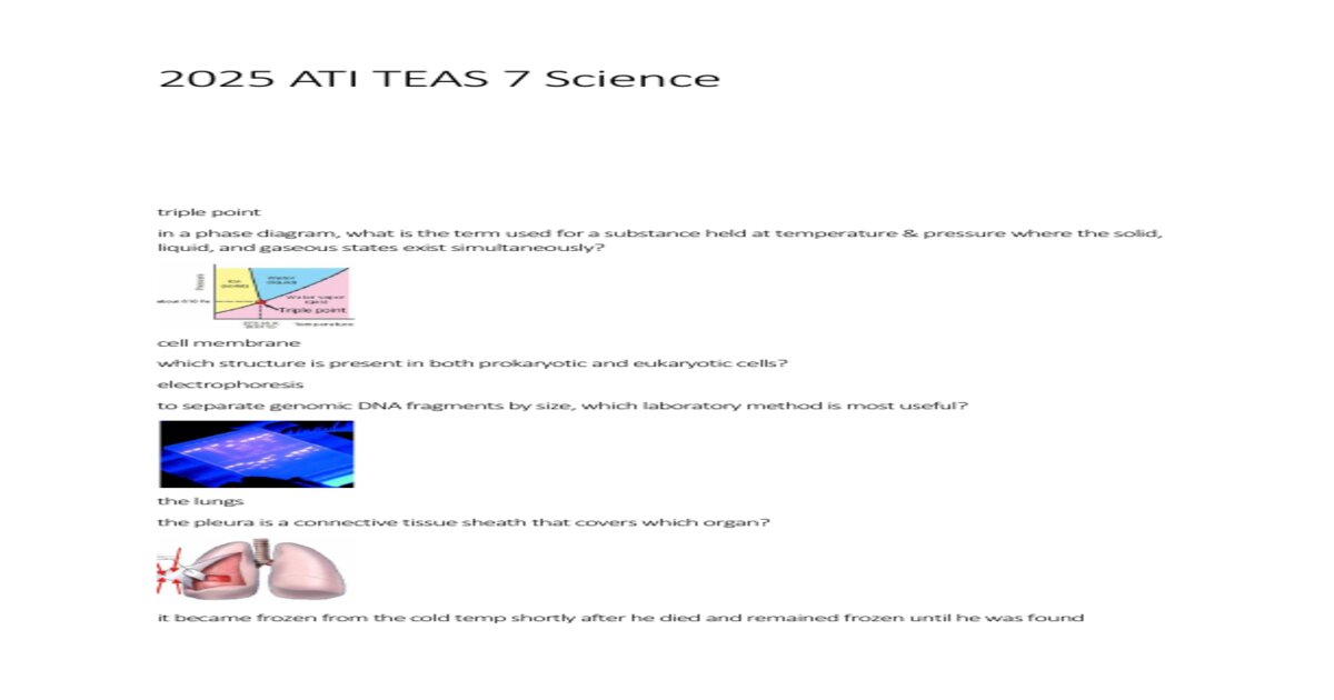 2025 ati teas 7 science