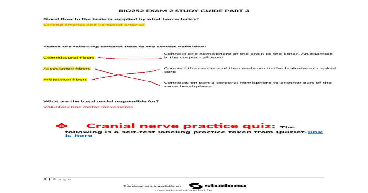 BIO252 EXAM 2 Study Guide — Healthcare Exam (Elaborations)